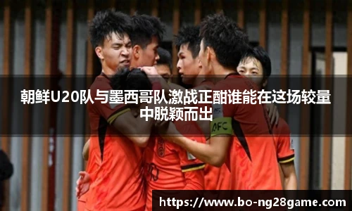 南宫NG28